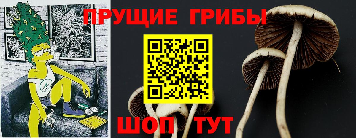 Галлюциногенные грибы Cubensis  Вход с VPN  Новотроицк 