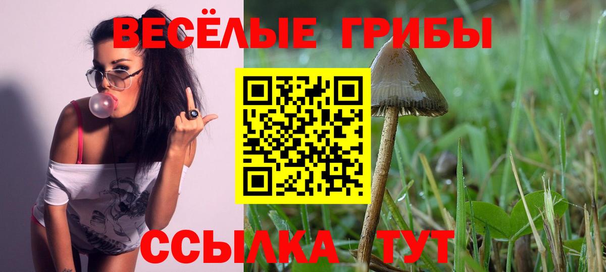 Галлюциногенные грибы мицелий Новотроицк